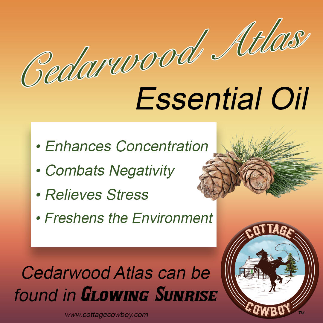 BEAUTIFUL SKIN Organic Essential Oil Blend (Frankincense, Patchouli, Cedarwood Atlas & Eucalyptus) GLOWING SUNRISE