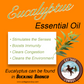 ENERGY Organic Essential Oil Blend (Spearmint, Orange & Eucalyptus) BUCKING BRONCO (RESTORING ENERGY)