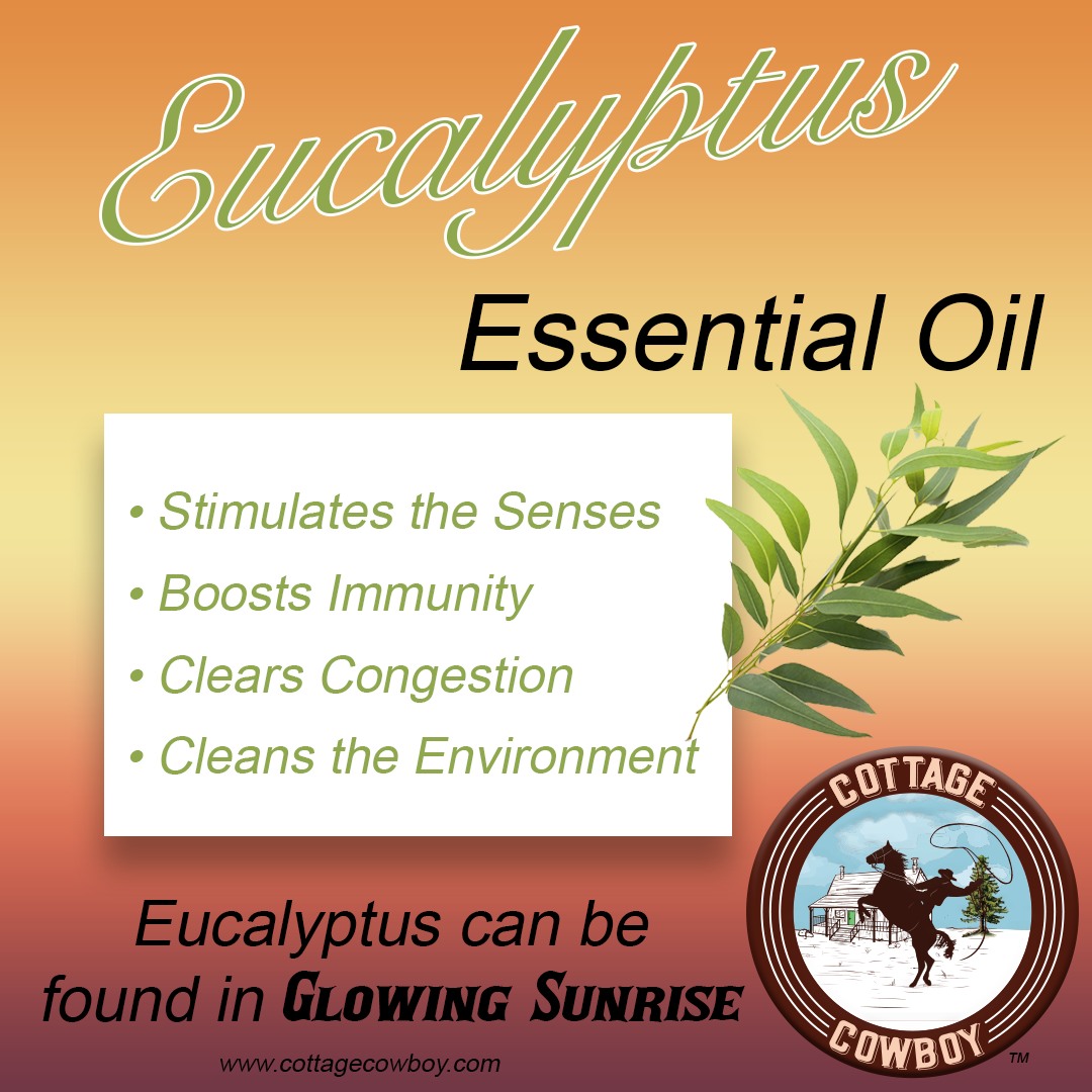 BEAUTIFUL SKIN Organic Essential Oil Blend (Frankincense, Patchouli, Cedarwood Atlas & Eucalyptus) GLOWING SUNRISE