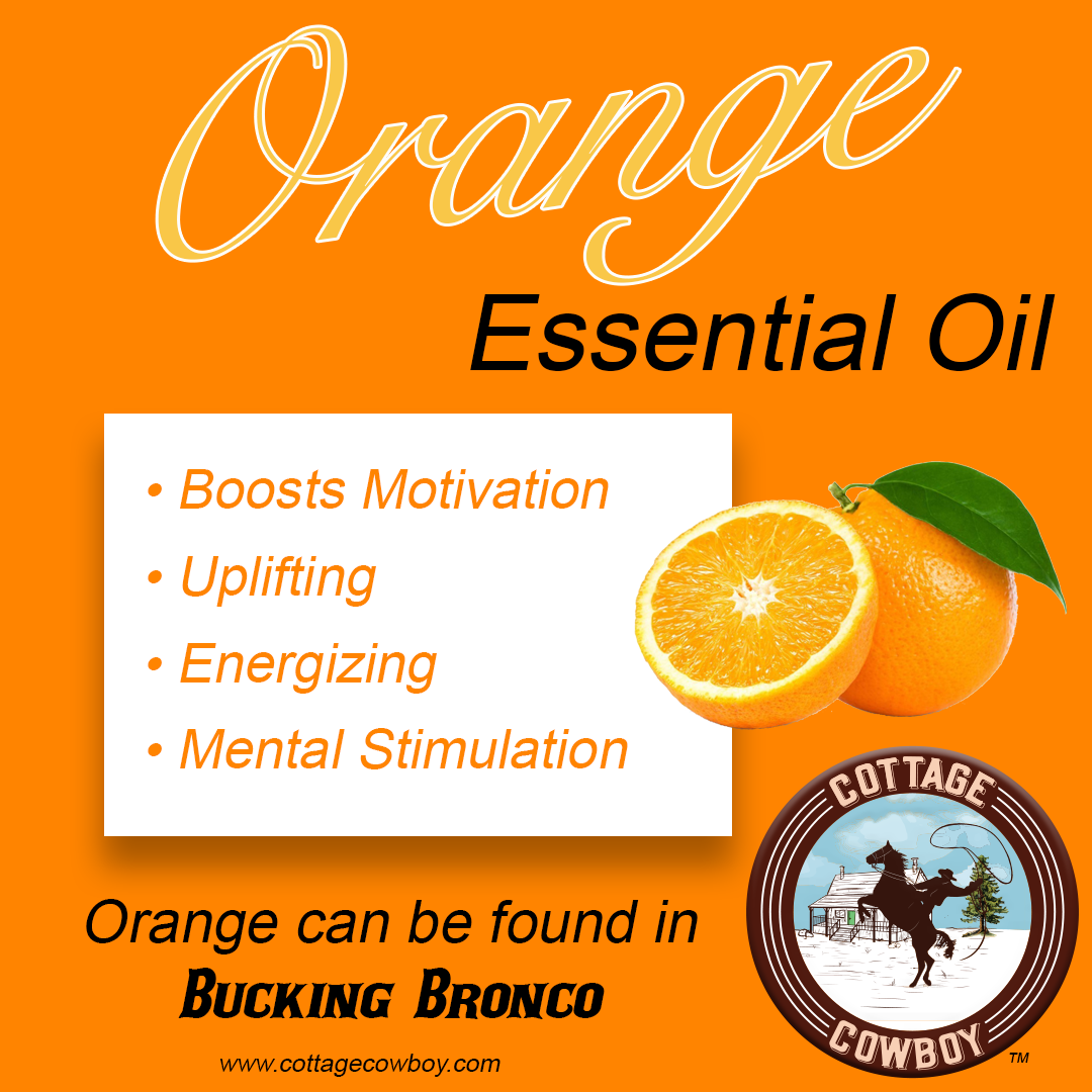 ENERGY Organic Essential Oil Blend (Spearmint, Orange & Eucalyptus) BUCKING BRONCO (RESTORING ENERGY)