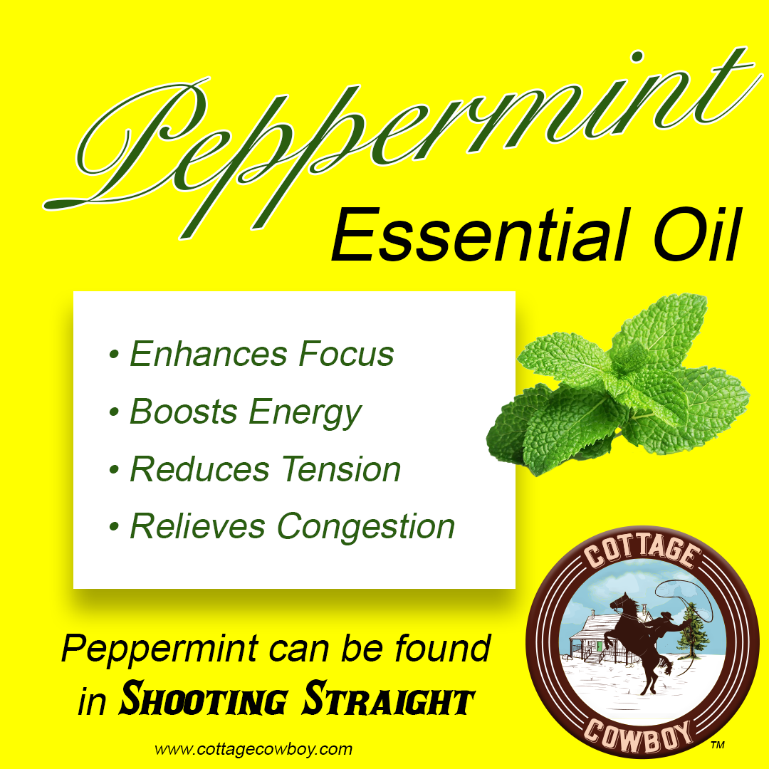FOCUS Organic Essential Oil Blend (Peppermint, Rosemary & Basil) SHOOTING STRAIGHT (FINDING FOCUS)
