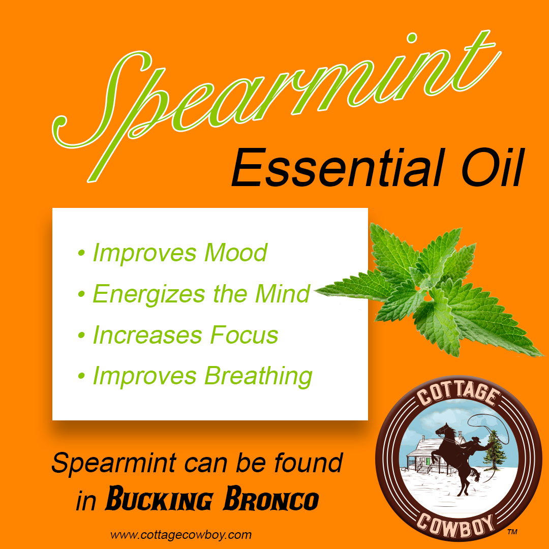 ENERGY Organic Essential Oil Blend (Spearmint, Orange & Eucalyptus) BUCKING BRONCO (RESTORING ENERGY)