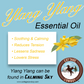 CALM Organic Essential Oil Blend (Ylang Ylang, Lemon & Vetiver) CALMING SKY