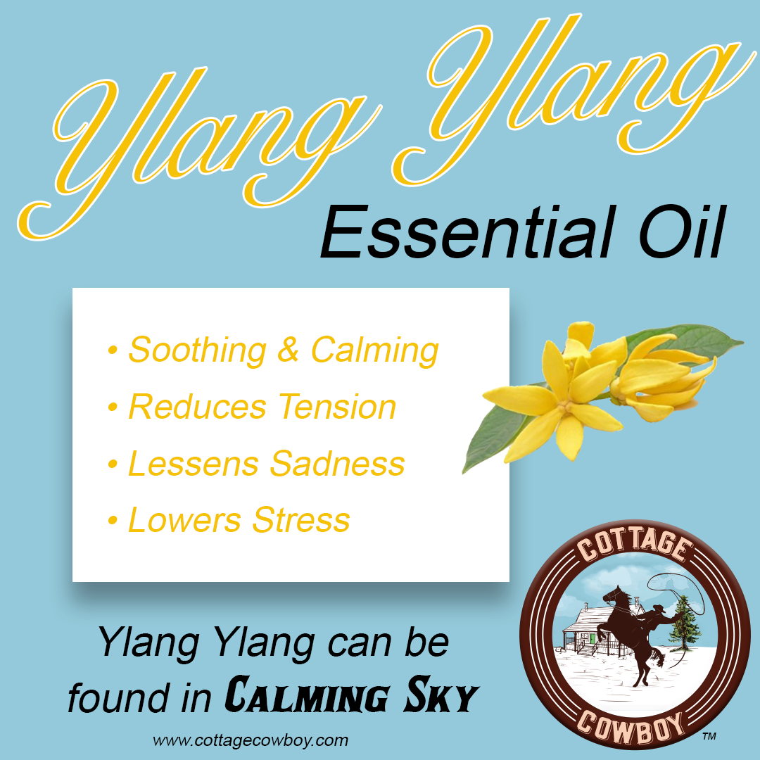 Orange Blossom Ylang Bang Luxury Essential Oil Blend 20ml